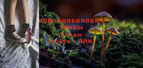экстази Нея