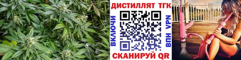 Купить где  Карасук  Дистиллят ТГК концентрат 